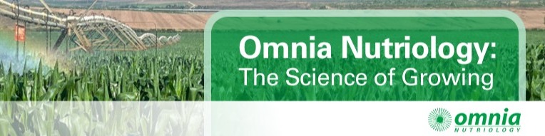 Job Banner
