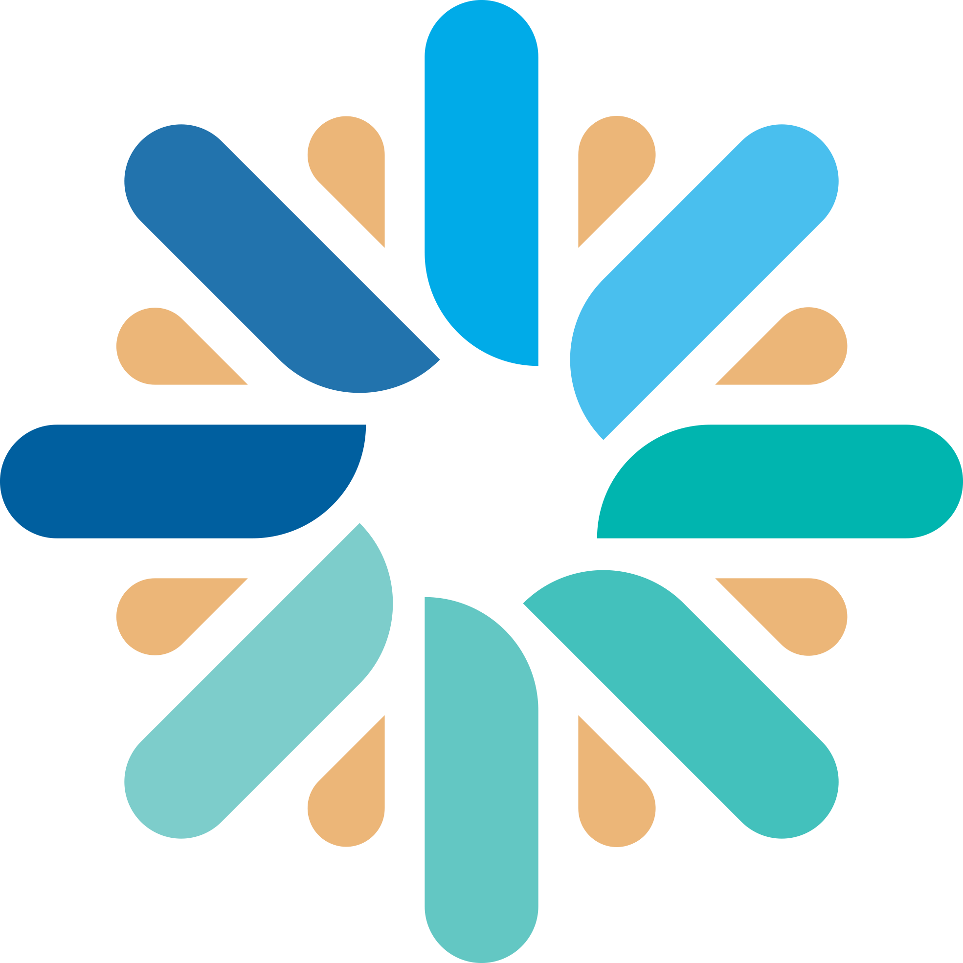 Junior Software Developer | Integrated Office Solutions Inc.
