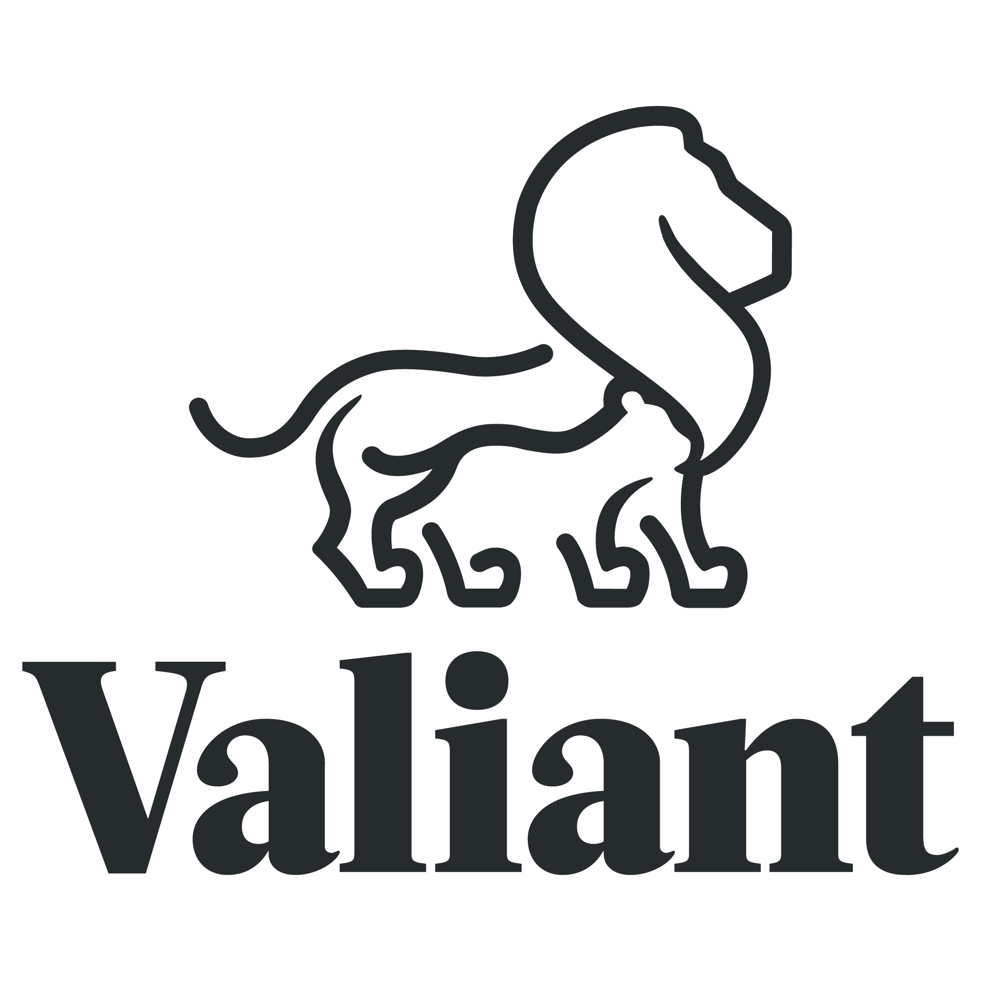 Company Logo
