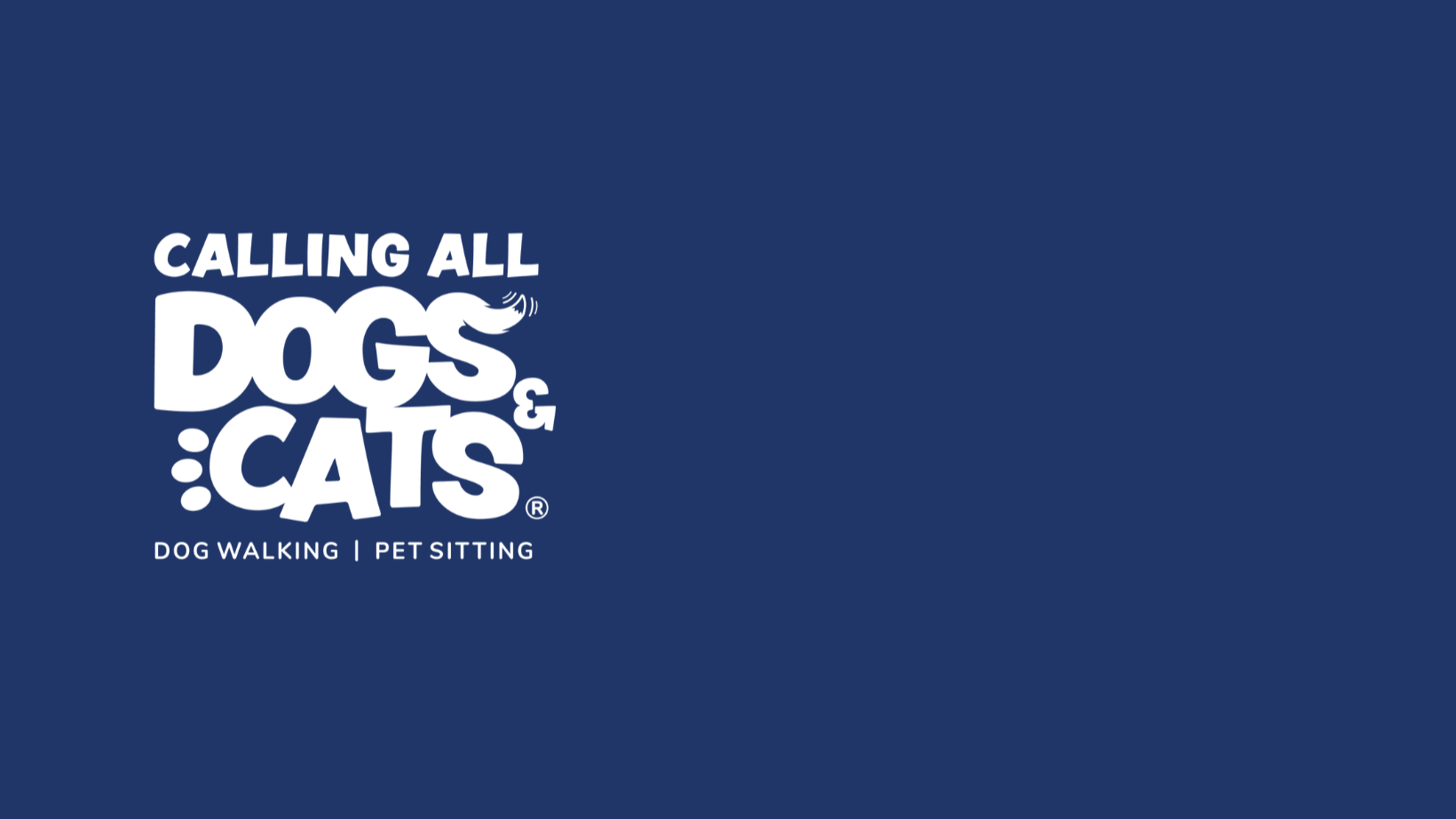 Company Banner