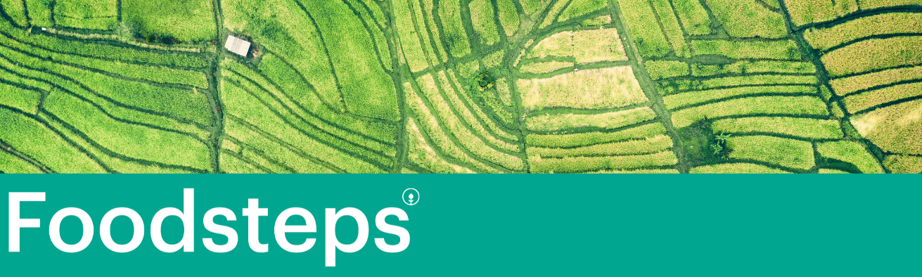 Company Banner
