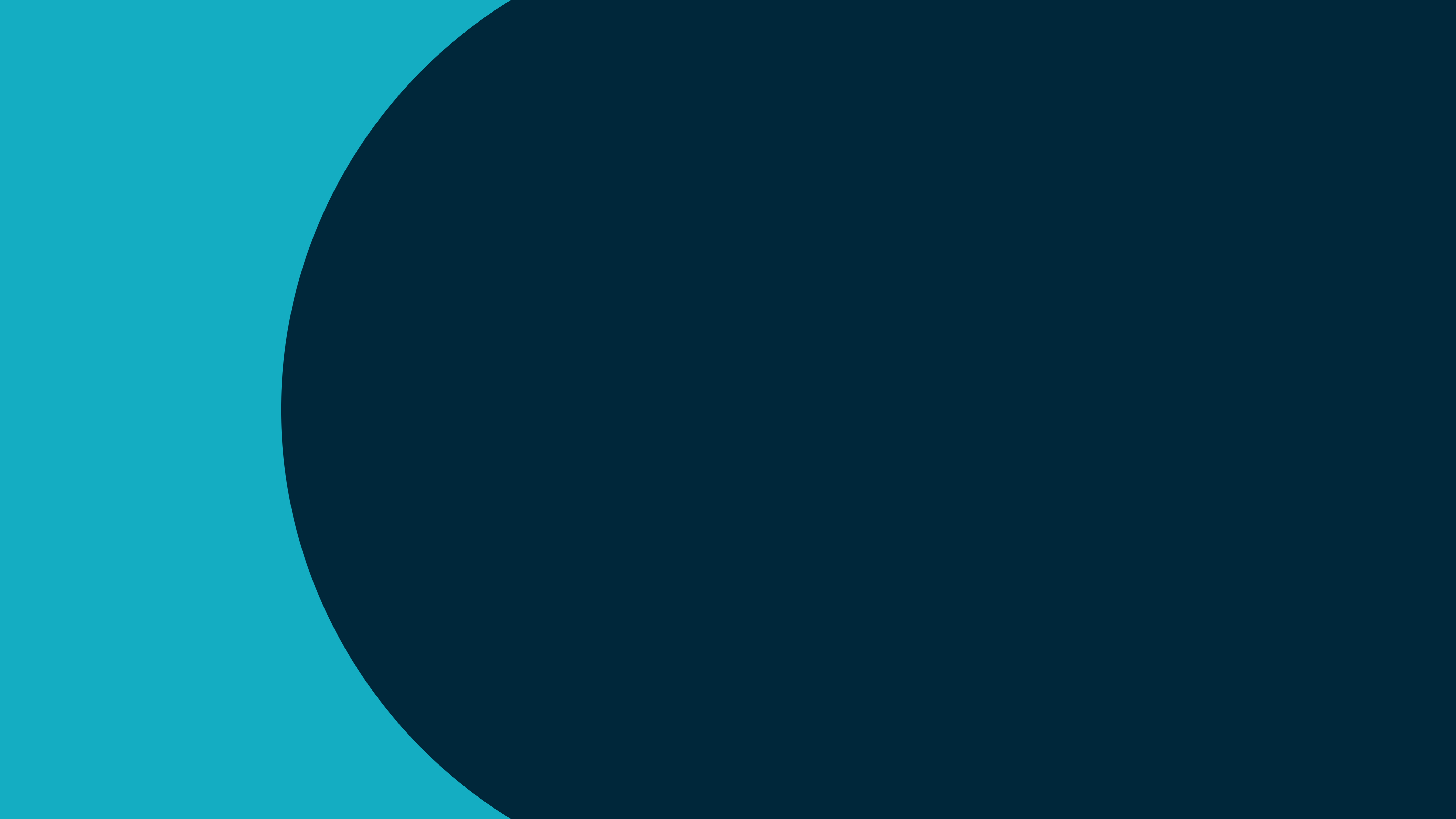 Company Banner