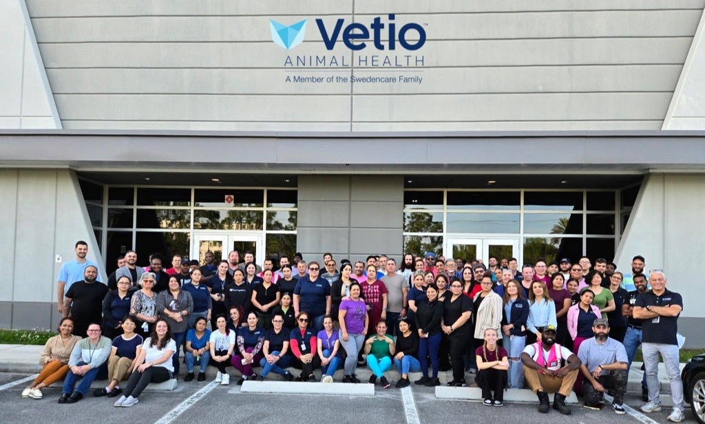 Company Banner