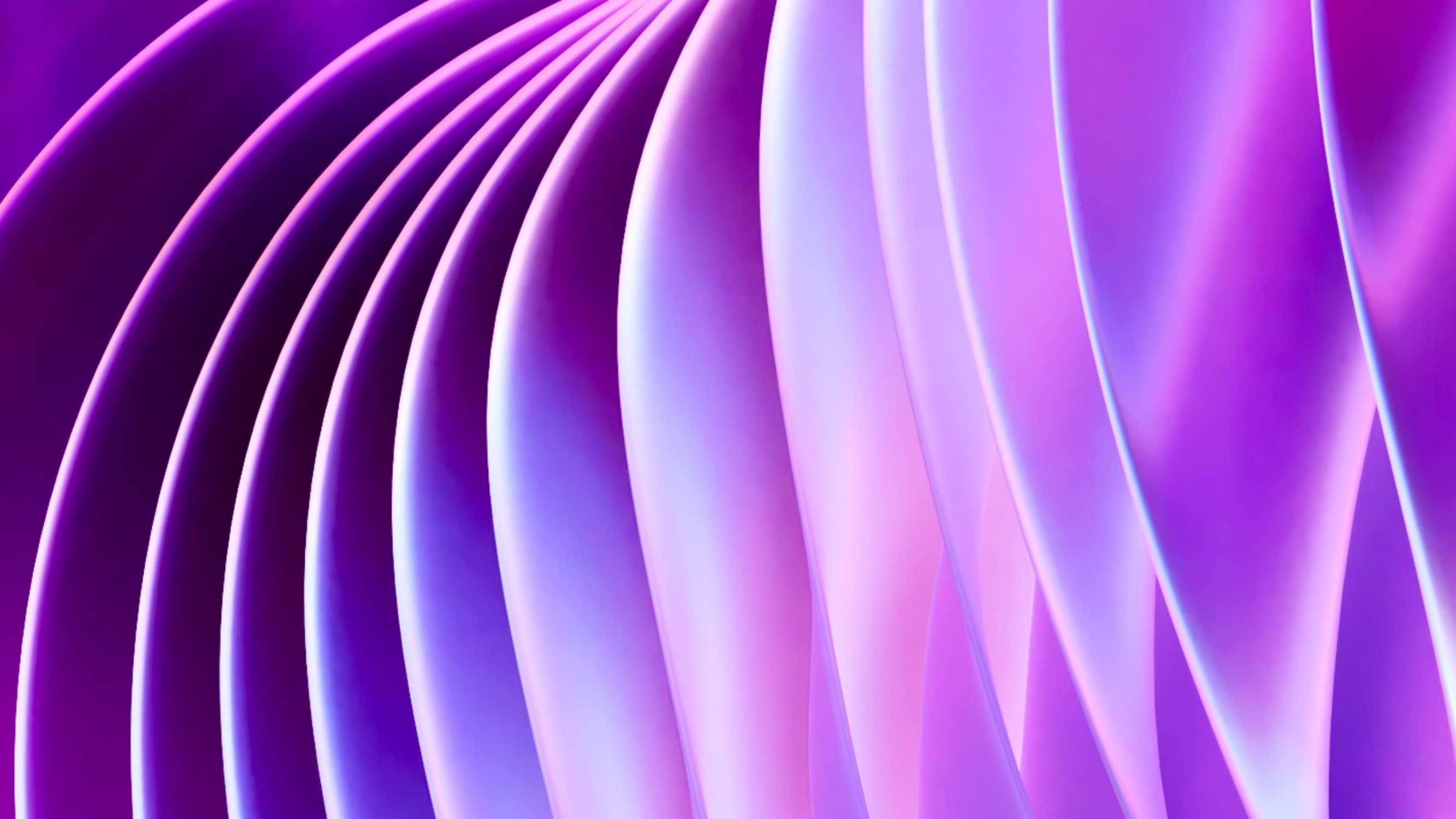 Company Banner